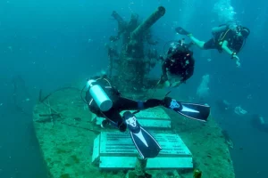 29349a_061934a845fc4dc9a8c4849057d00da4_mv2